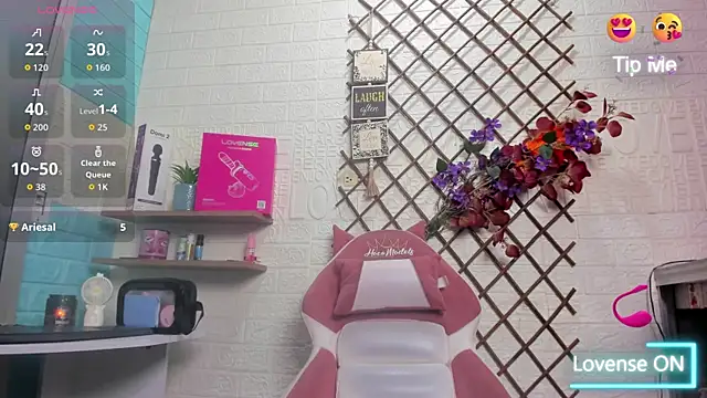 SALOME_KORLAND webcam