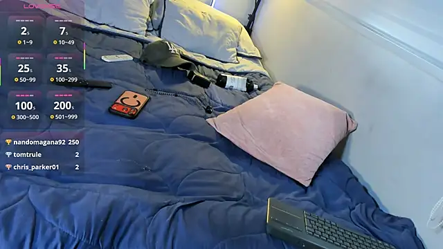 james_lincoln webcam