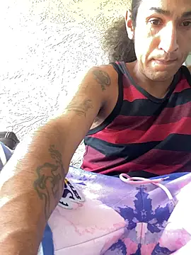 LargeDominoes webcam