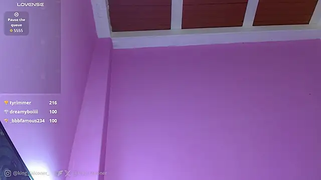 king_falconer webcam