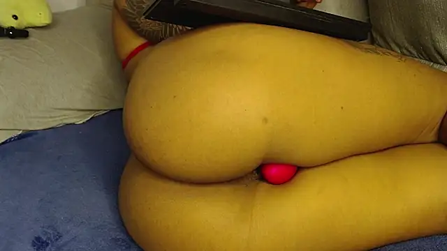 Raycatt1 webcam