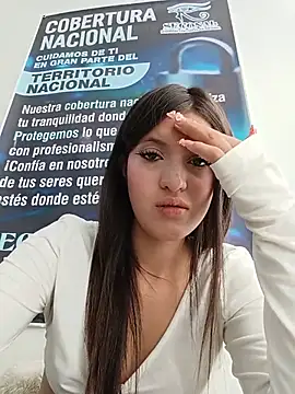 SALOME-28_ webcam