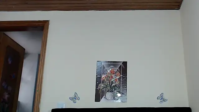 VICTORYXS1 webcam