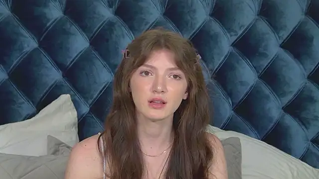 SophiaProve webcam