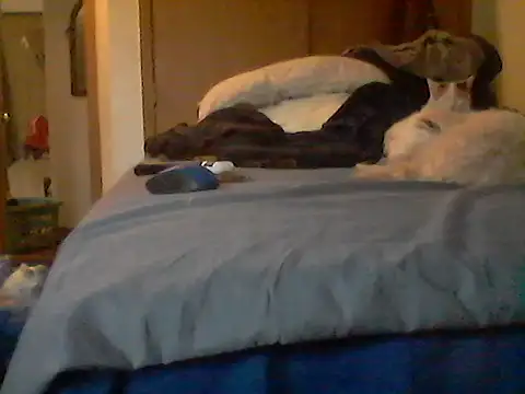 Silencio26 webcam