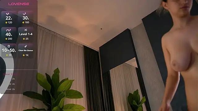 JullyFox webcam