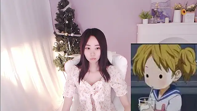 hall-33 webcam