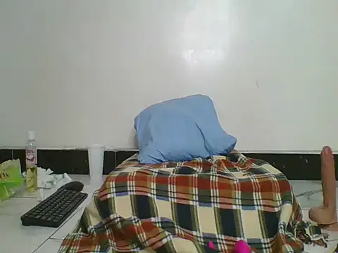 Dixie_driver1 webcam