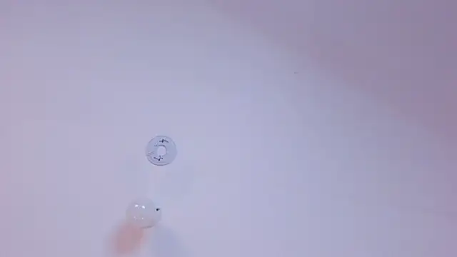 gabby_scott