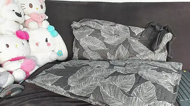 Eirlysx webcam
