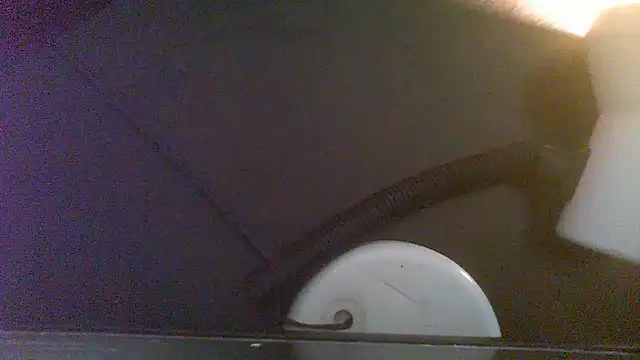 Esona5 webcam