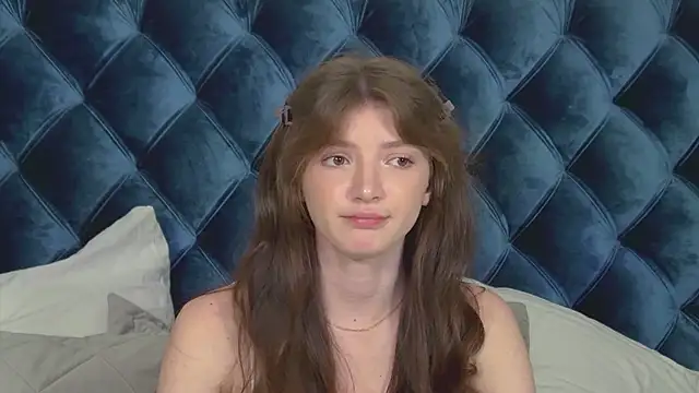 SophiaProve webcam