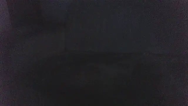CORONALD webcam