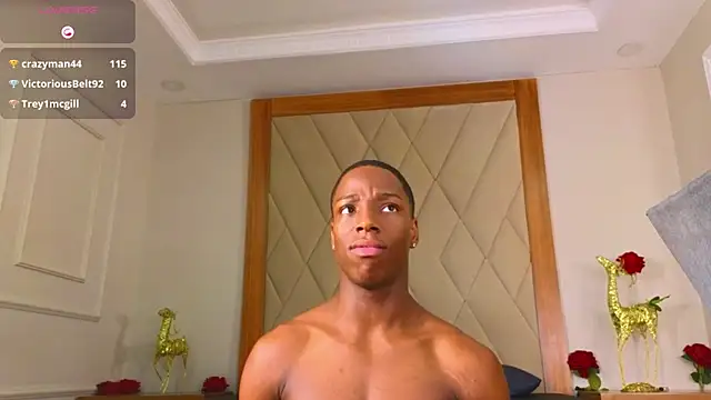 CharlesBrown_ webcam