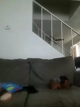 yourMasterisBored