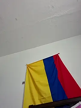 IrisBound webcam