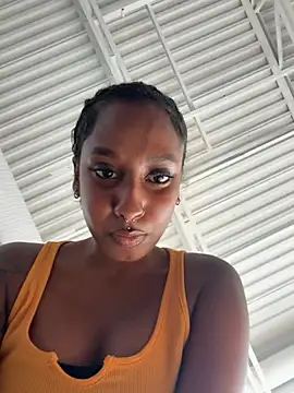 Your_Paris webcam