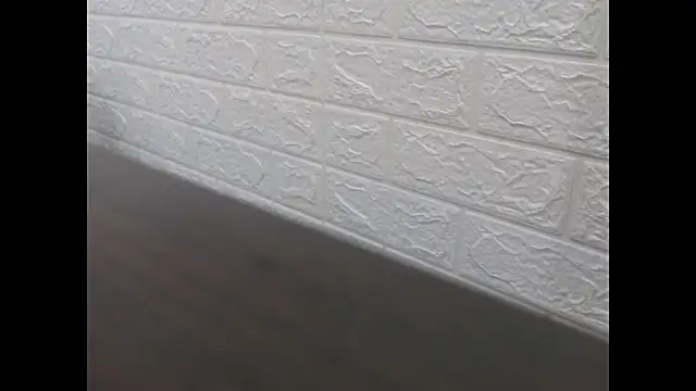 JackSwan18 webcam