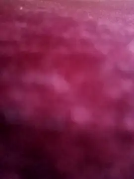 AmineMouna76 webcam
