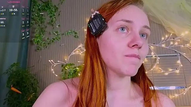 PollyVinice webcam