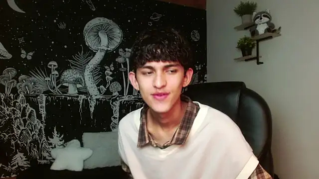 Michaelkoiv webcam