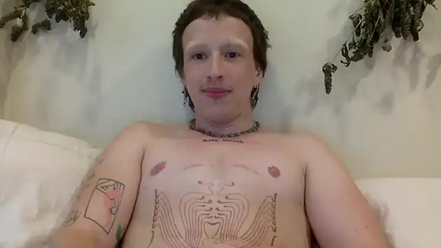 tommyteaser webcam
