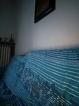 Sony28v webcam