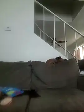 yourMasterisBored webcam