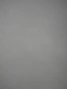 brawn25 webcam