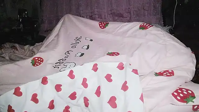 hebe-02 webcam