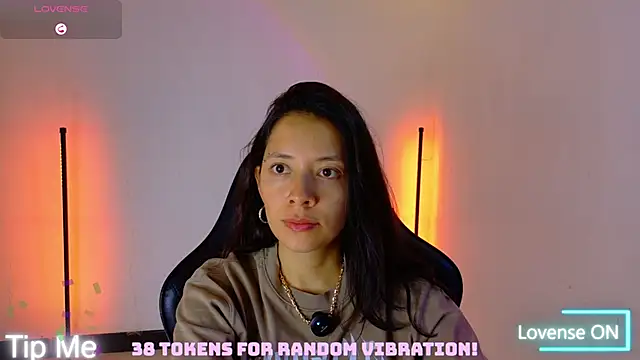 Sarasavage webcam