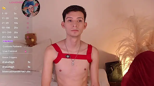 VicenteFerrer webcam