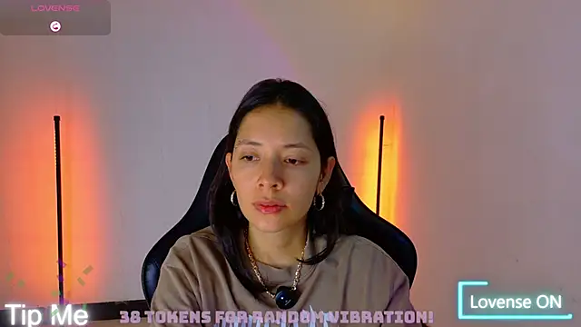 Sarasavage webcam
