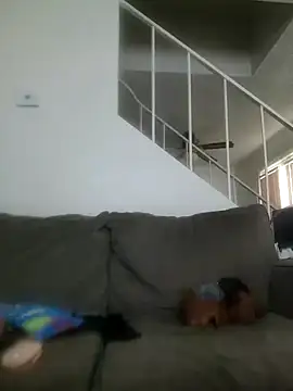 yourMasterisBored webcam