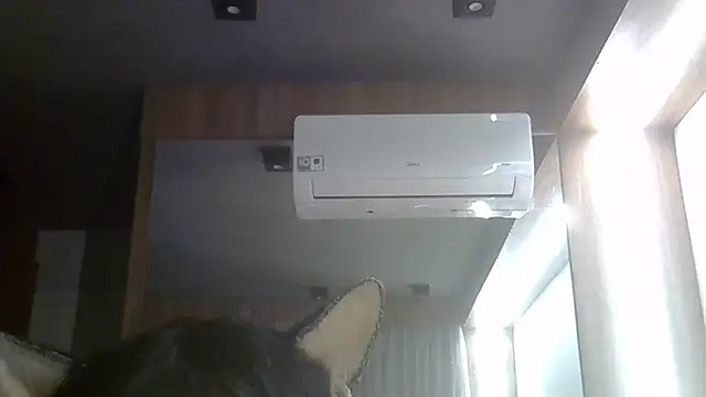 SkinnyKitten webcam