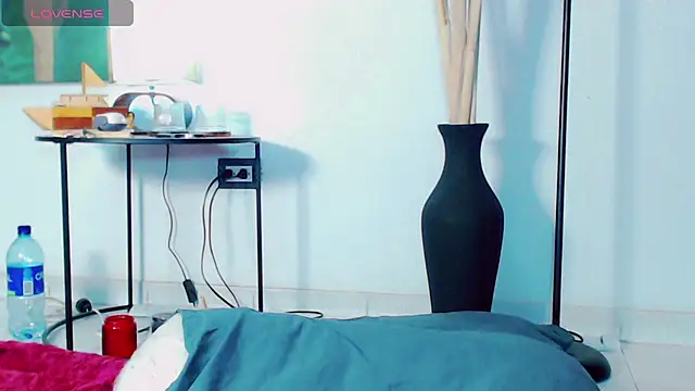 dark_sailent webcam