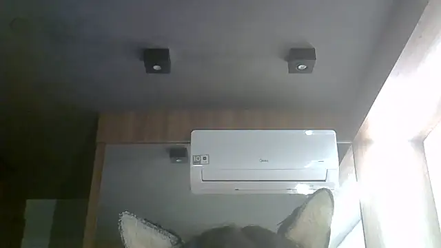 SkinnyKitten webcam