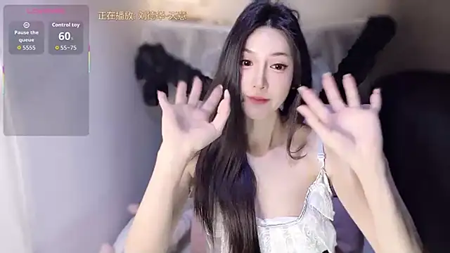 LILI7-LI webcam