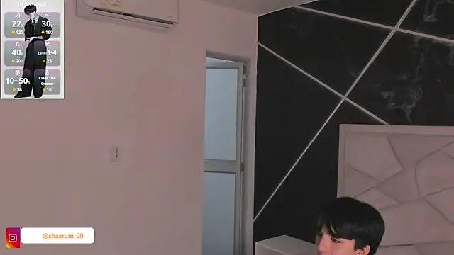 AerumChae webcam