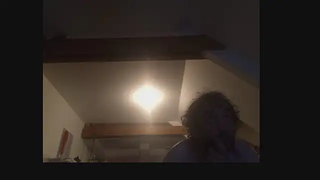 Mastersanges webcam