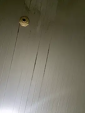 Sarado_Tesudo webcam