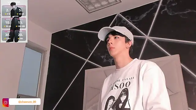 AerumChae webcam