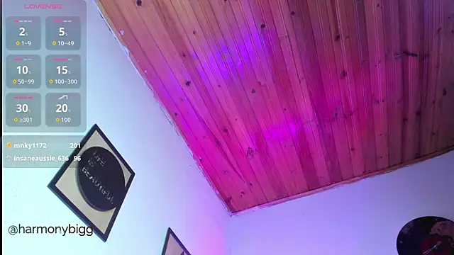 harmony_bigbreasts webcam