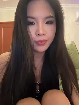 yy22111 webcam