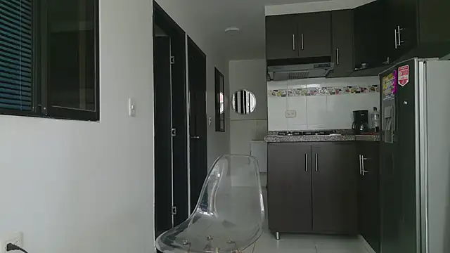 grey___27 webcam