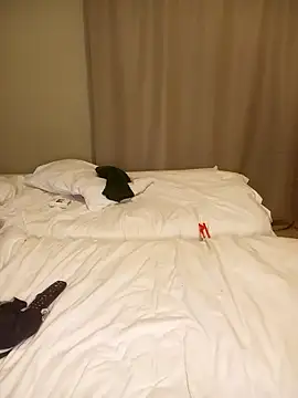 Roshapo webcam