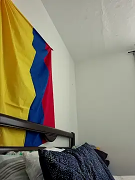 IrisBound webcam