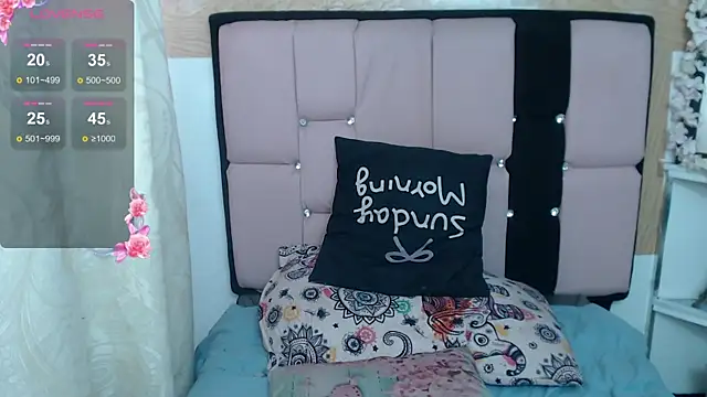 palmer_mIix webcam
