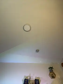 YariRose webcam