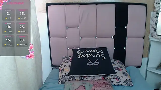 palmer_mIix webcam